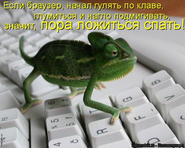 1292589358_kotomatrix_15.jpg